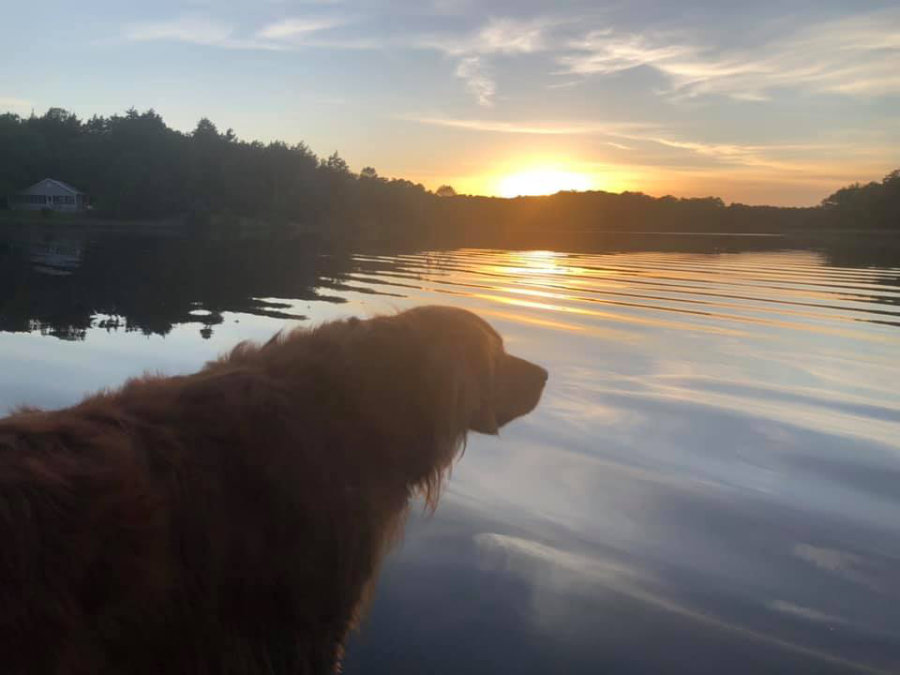 Enjoying the Sunset with Good Friends